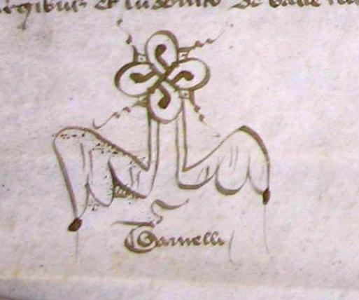 Paraphe_Geraud_Tarnelli